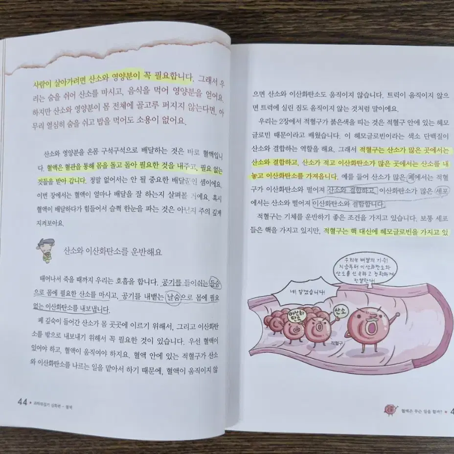 과학뒤집기 심화편