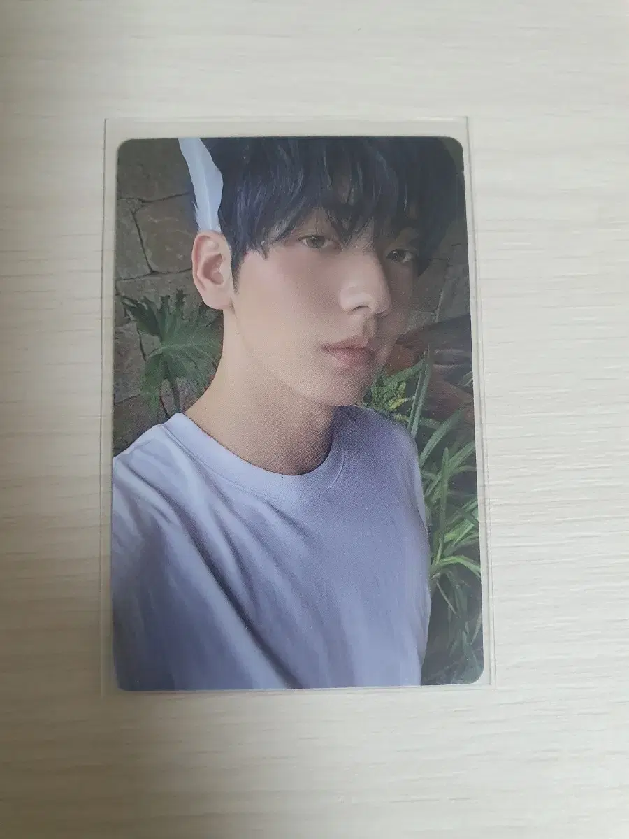 (Lots of) txt angel soobin photocard sells