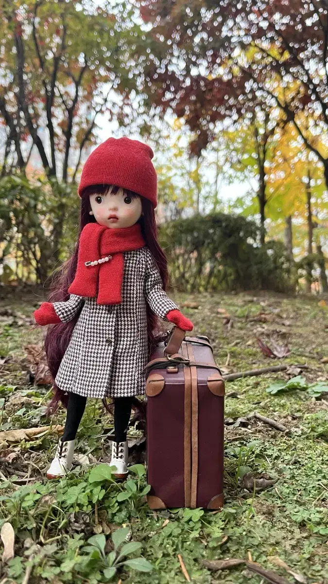 RandowDoll Clothes Coat Hat Shawl Socks Set