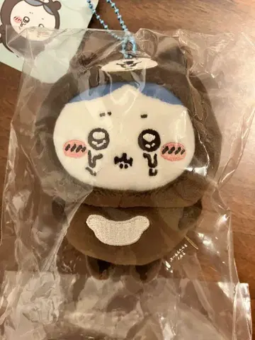 [미개봉] 말레이곰을 입은 꿀벌벌레 스캇