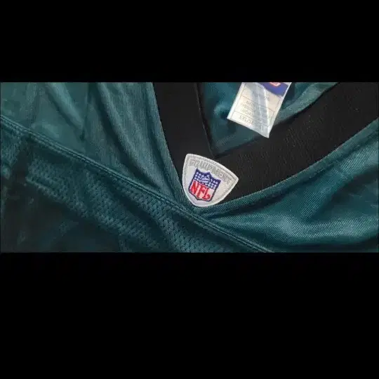 새제품 REEBOK 정품 NFL필라델피아 이글스 저지 빅사이즈 5XL