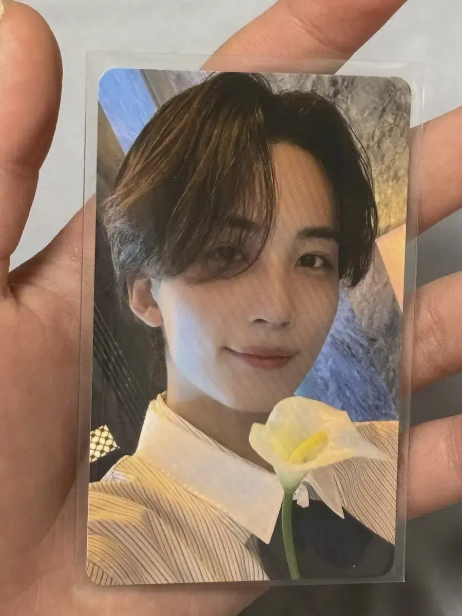 Seventeen jeonghan Dream Japan Tokyo Dome photocard WTS