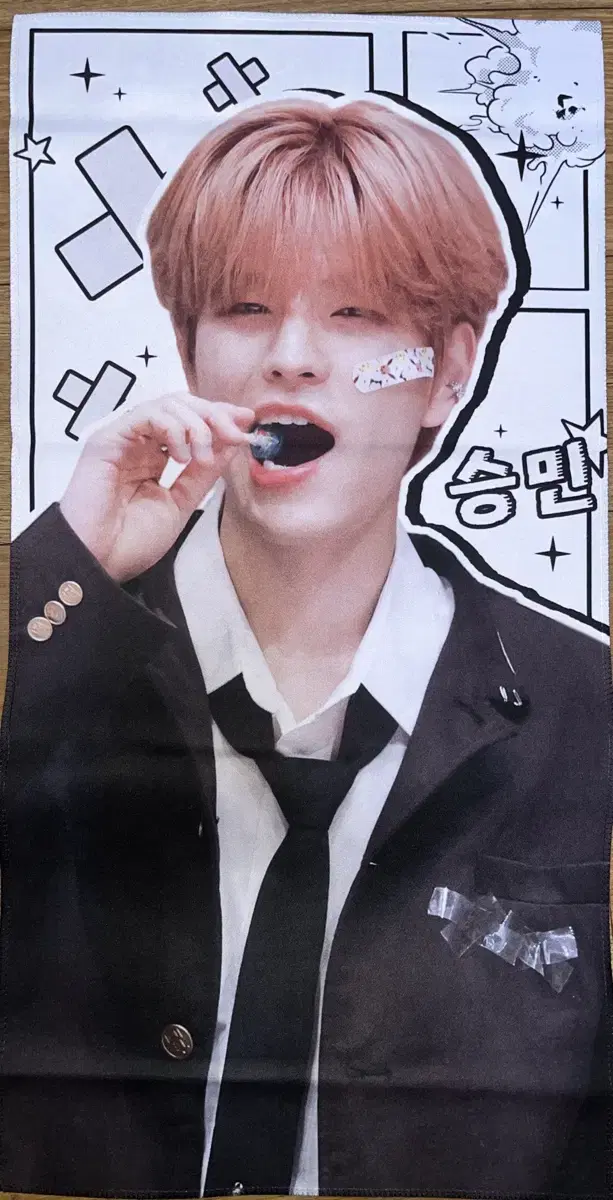 Straykids SKZ seungmin Reflections slogan WTS