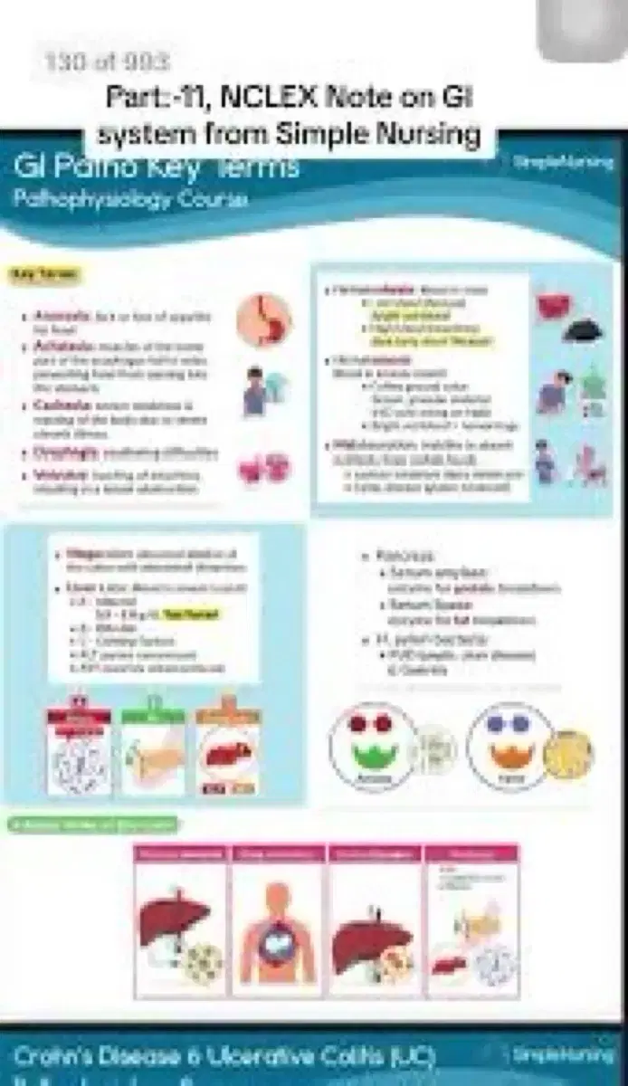 NCLEX 심플널싱 PDF 요약집