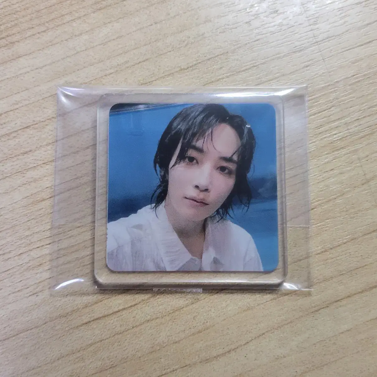 Seventeen Mini 12th Edition jeonghan Magnet WTS