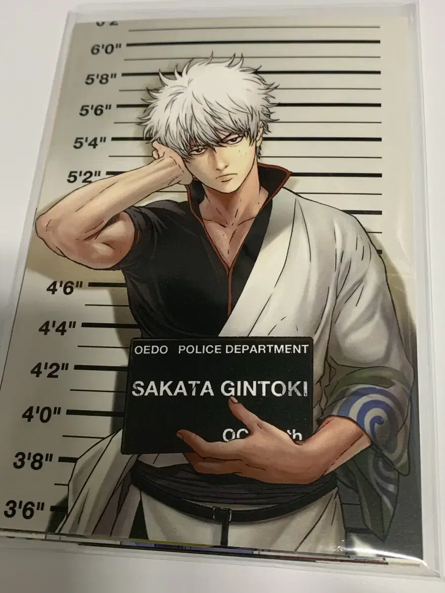 Gintama Tongpan Dandy-nim Gintama Mug Shot postcard 12 varieties