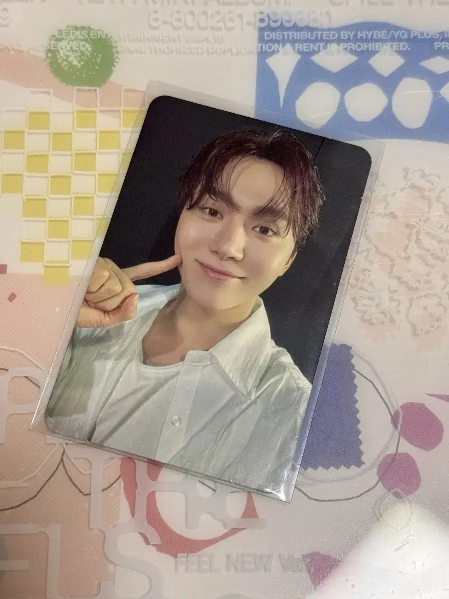 seventeen seungkwan spill the feels bloo version photocard wts