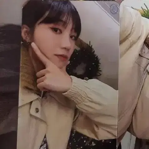 에이핑크 정은지 Travelog 포카