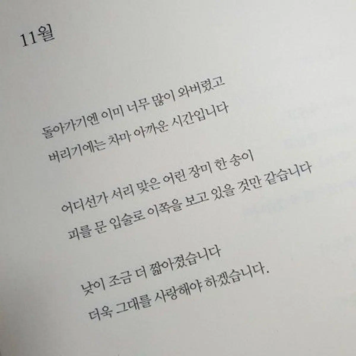 실모 떨이 (사문, 생윤, 국어, 영어) 이감 상상 한수 김종익 임정환