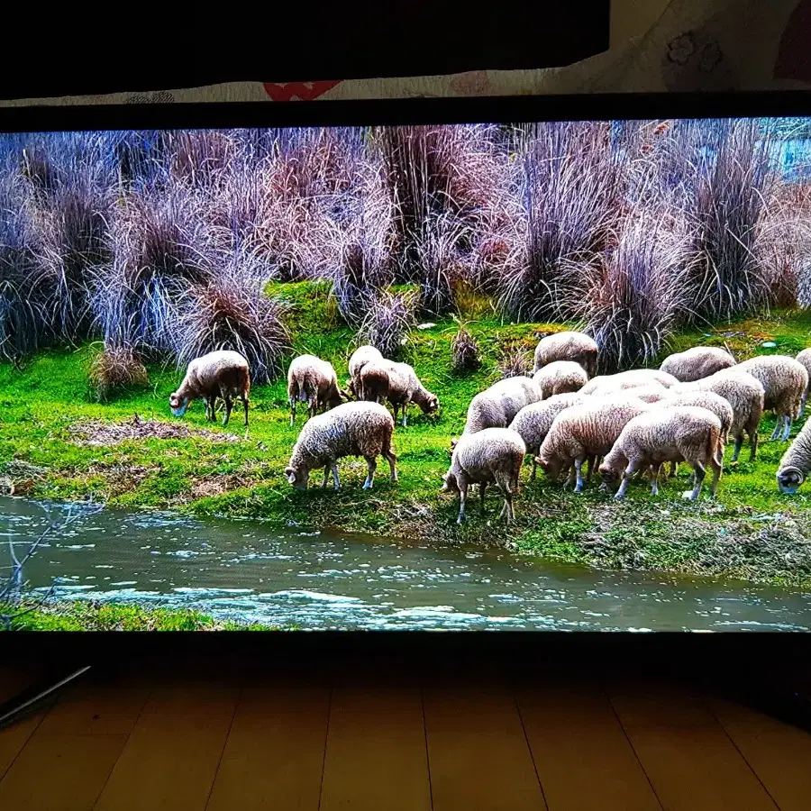 32인치 티비 모니터 LED TV 양천구