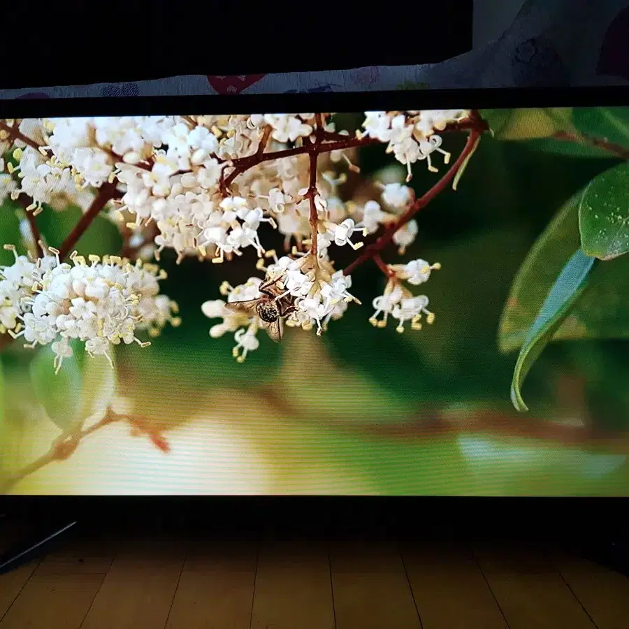 32인치 티비 모니터 LED TV 양천구