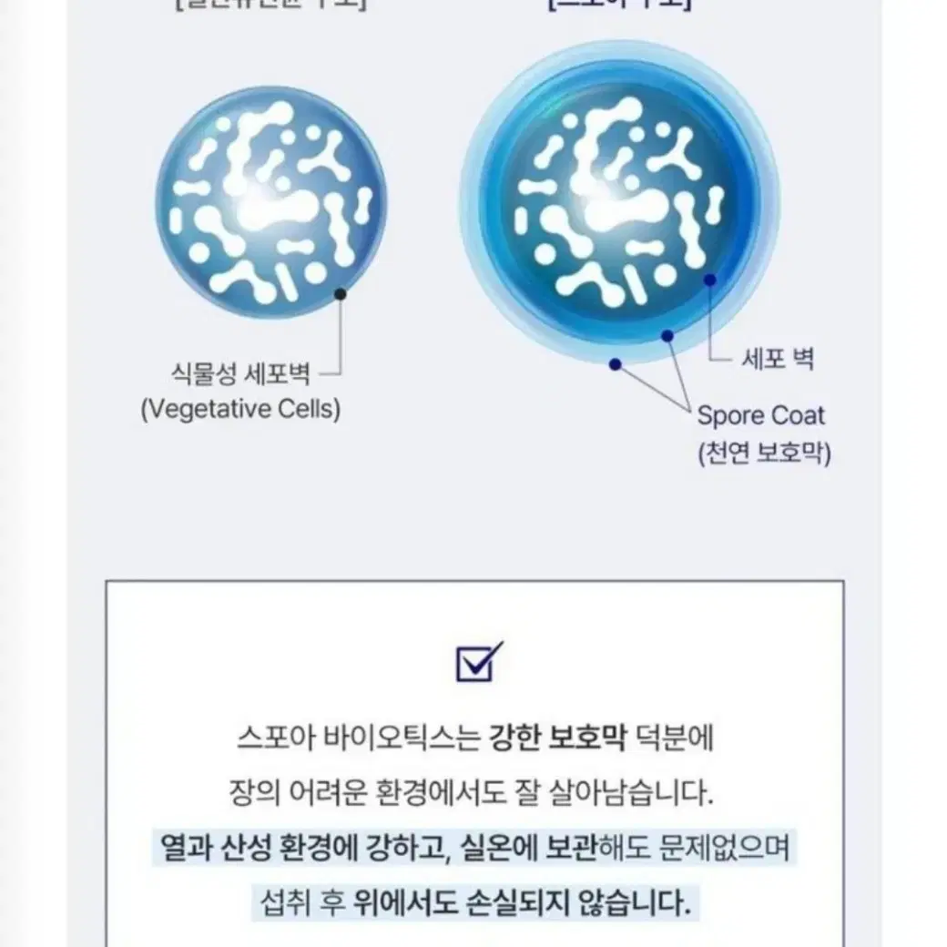 샤인머스켓 맛 유산균