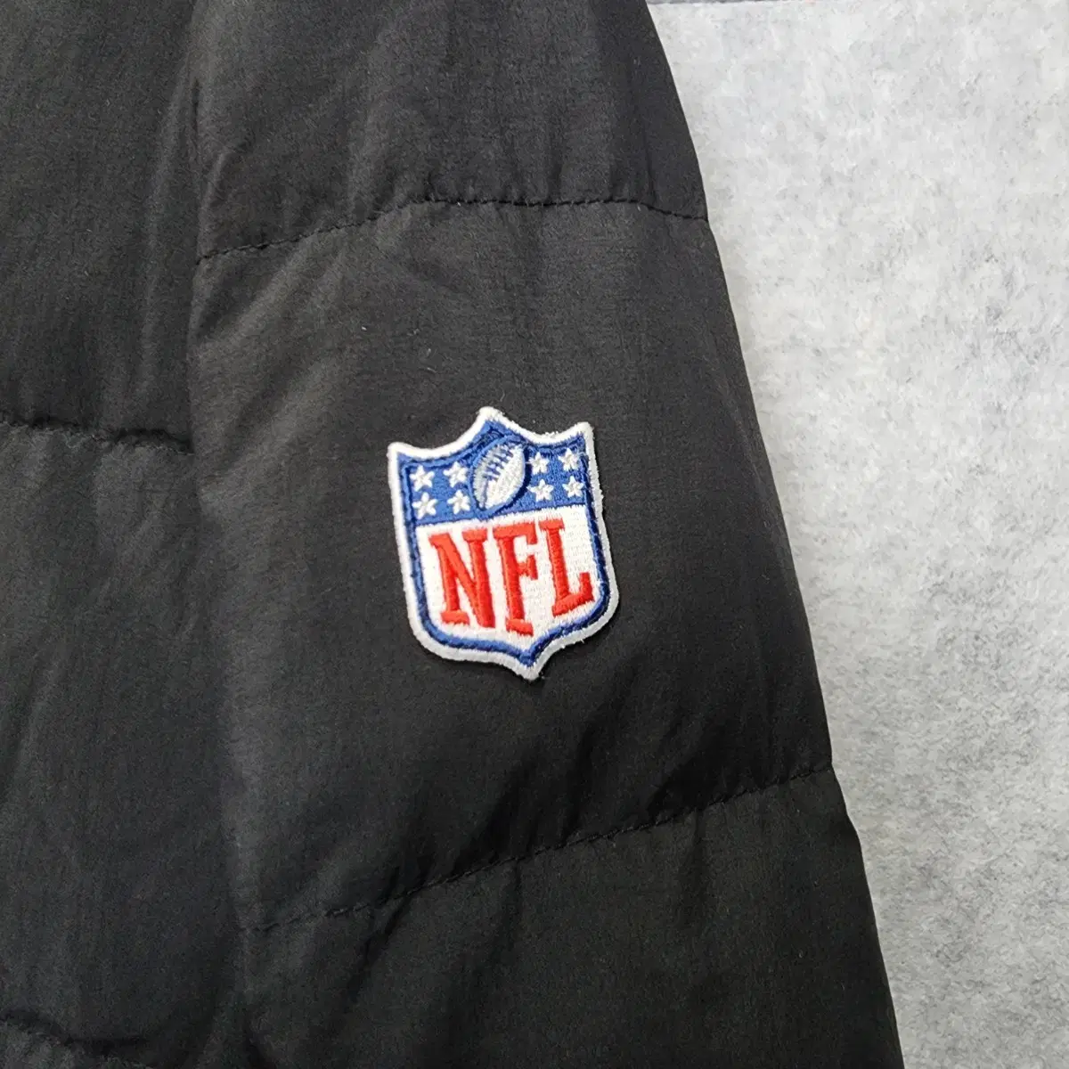 NFL 남성 인사이드 라이트 다운 (2XL/110)