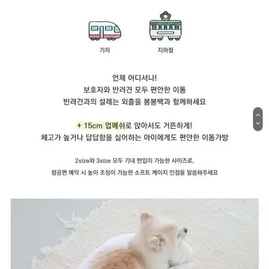 니어바이어스 강아지 애견 이동가방