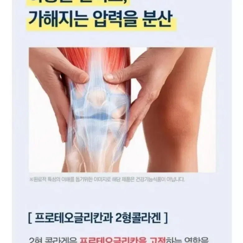 프로테오글리칸 연어코연골 정