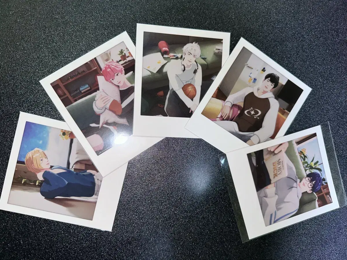 Pleev W4L polaroid in bulk