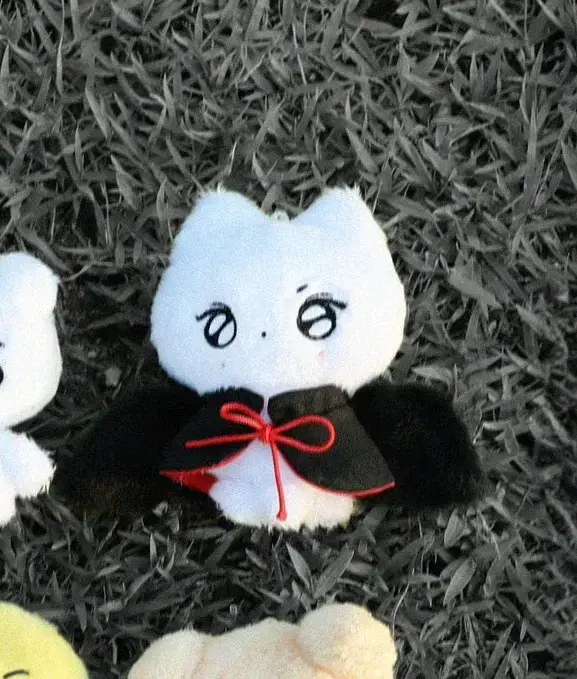 enhypen jungwon sealed 10cm doll 묘묘냥 wts