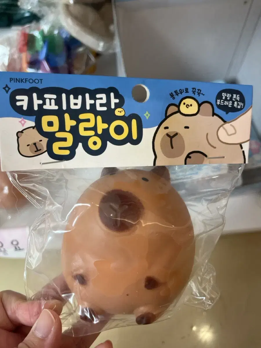 (폐업세일) 카피바라 말랑이