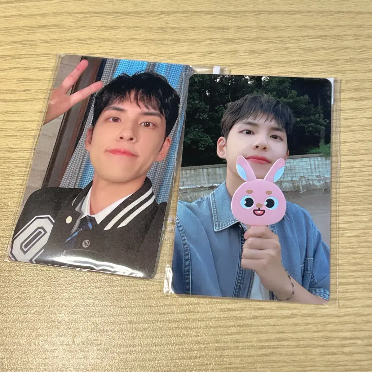 Day 6 One Peel pops up online, sells birch photo cards