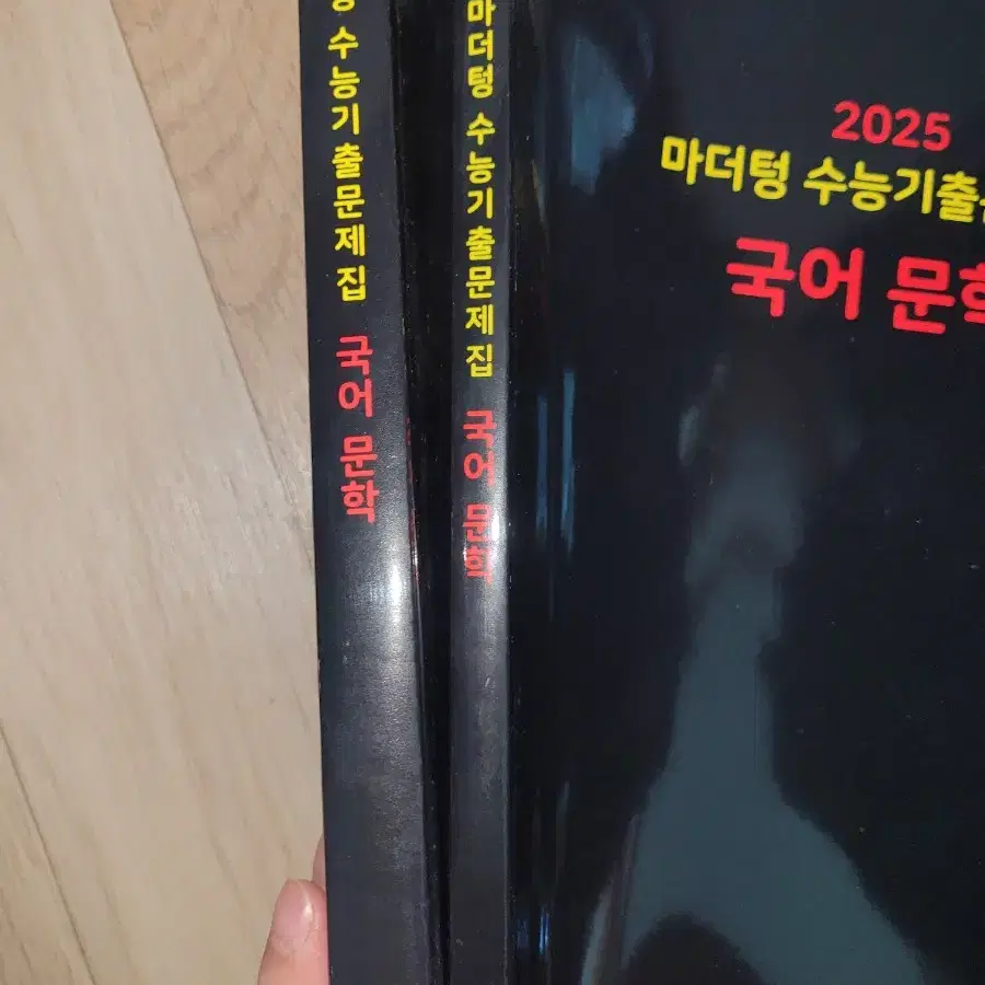 2025 마더텅 수능 기출문제집 국어 문학