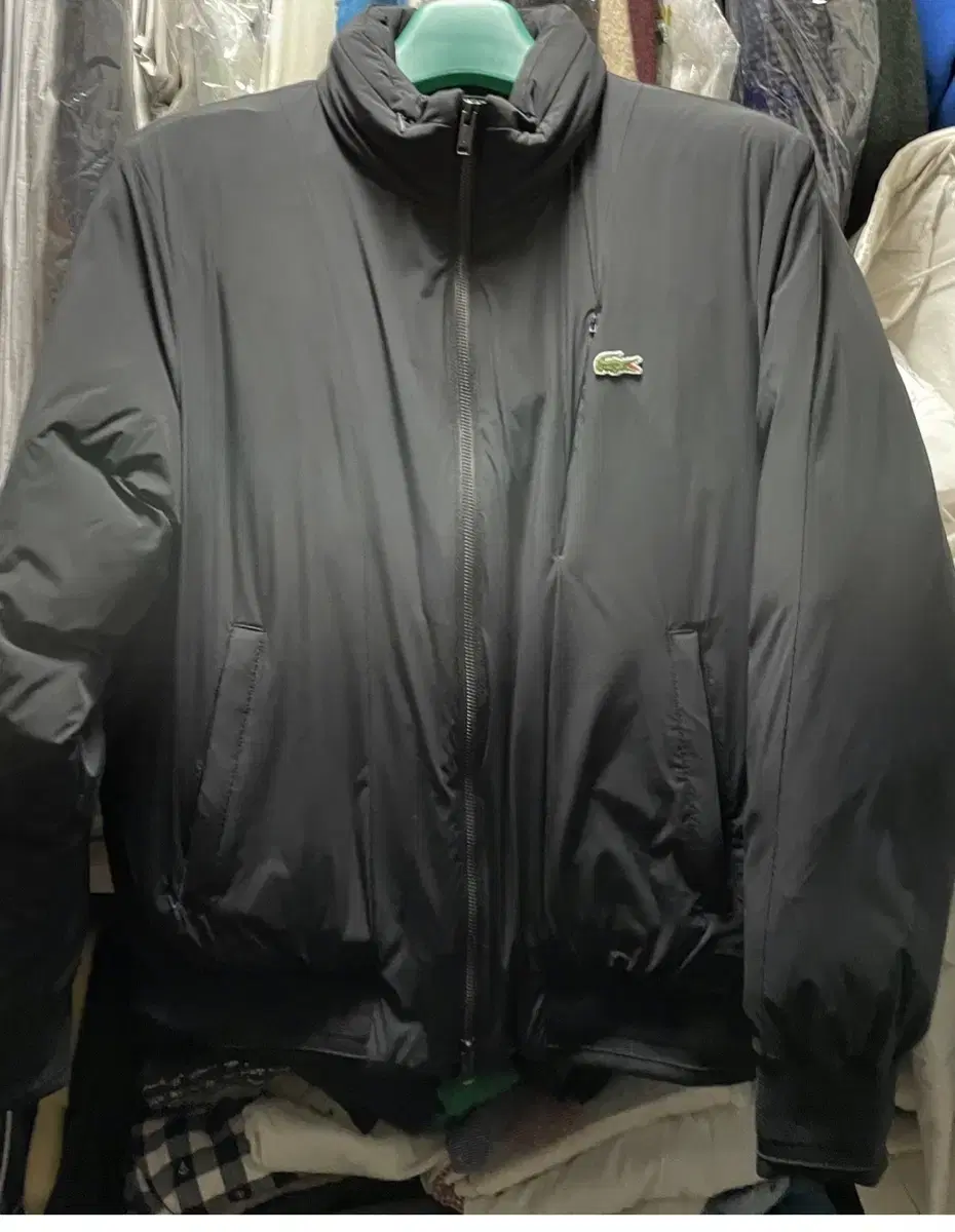 Lacoste goose down jacket Short down bloomers