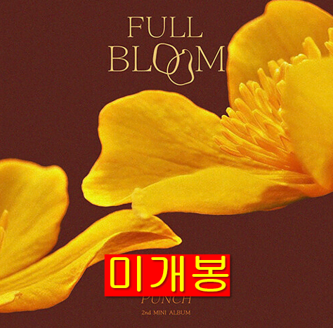 펀치 (Punch) - Full Bloom (만개) (미개봉, CD)