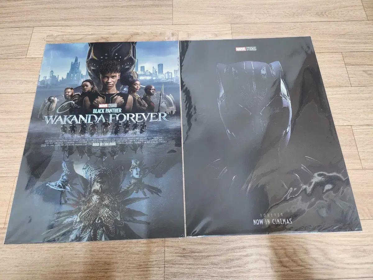 Black Panther 2 A3 Posters - 6800 (Unsealed, New)