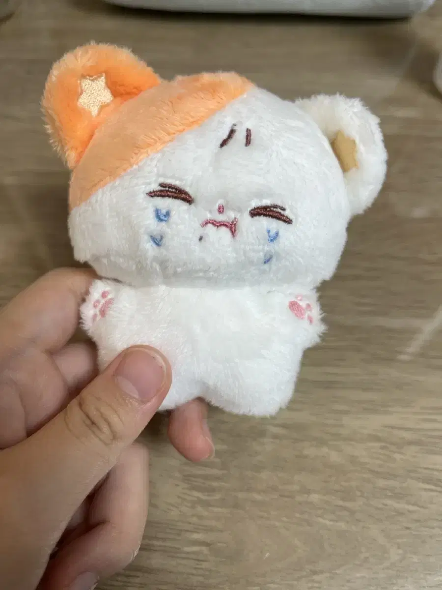 NCT jisung water dumpling dolls