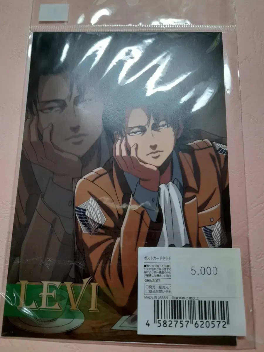 Attack on Titan Annie Leibovitz Ackerman Merchandise