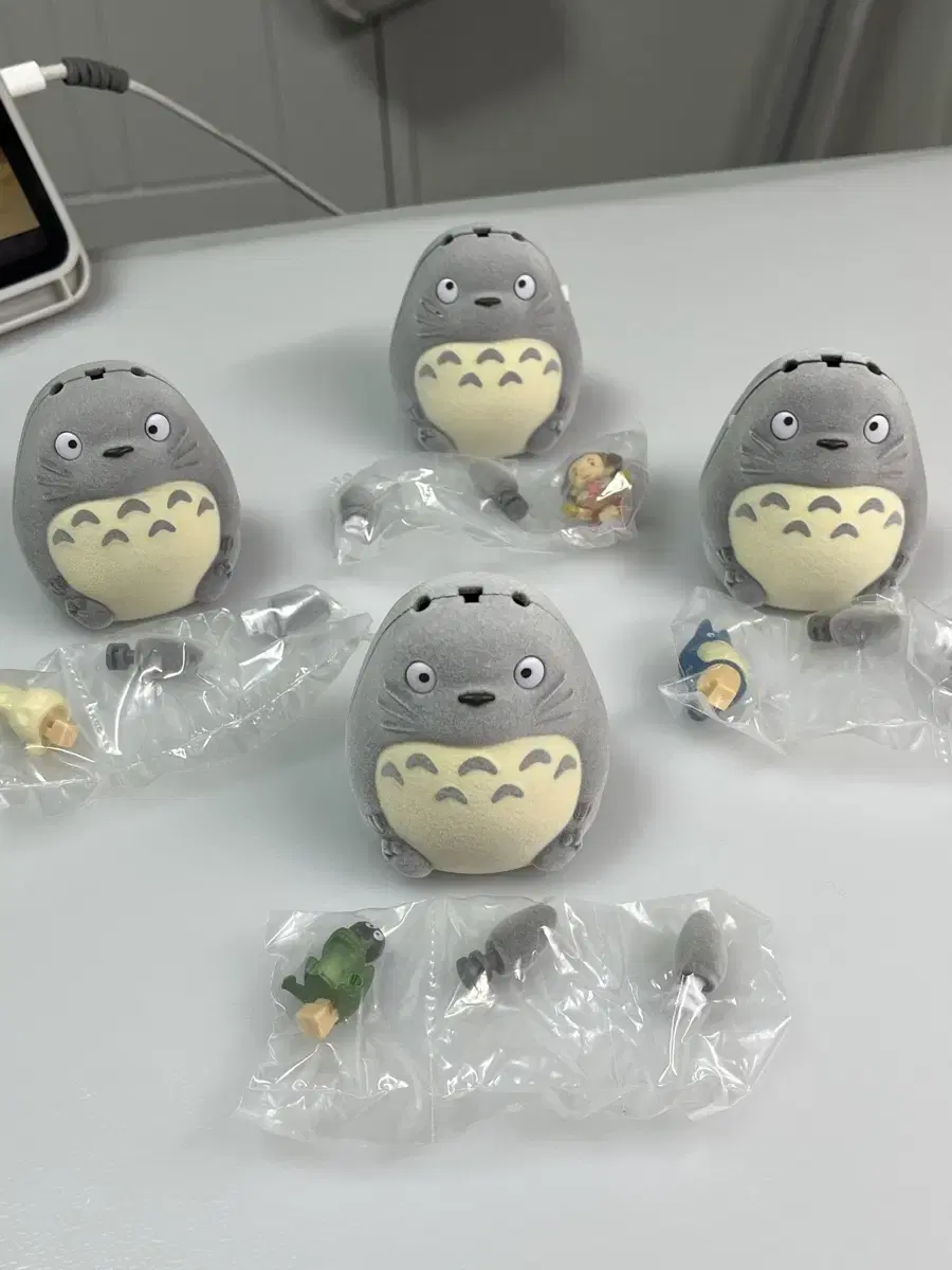 Ghibli Totoro Gacha