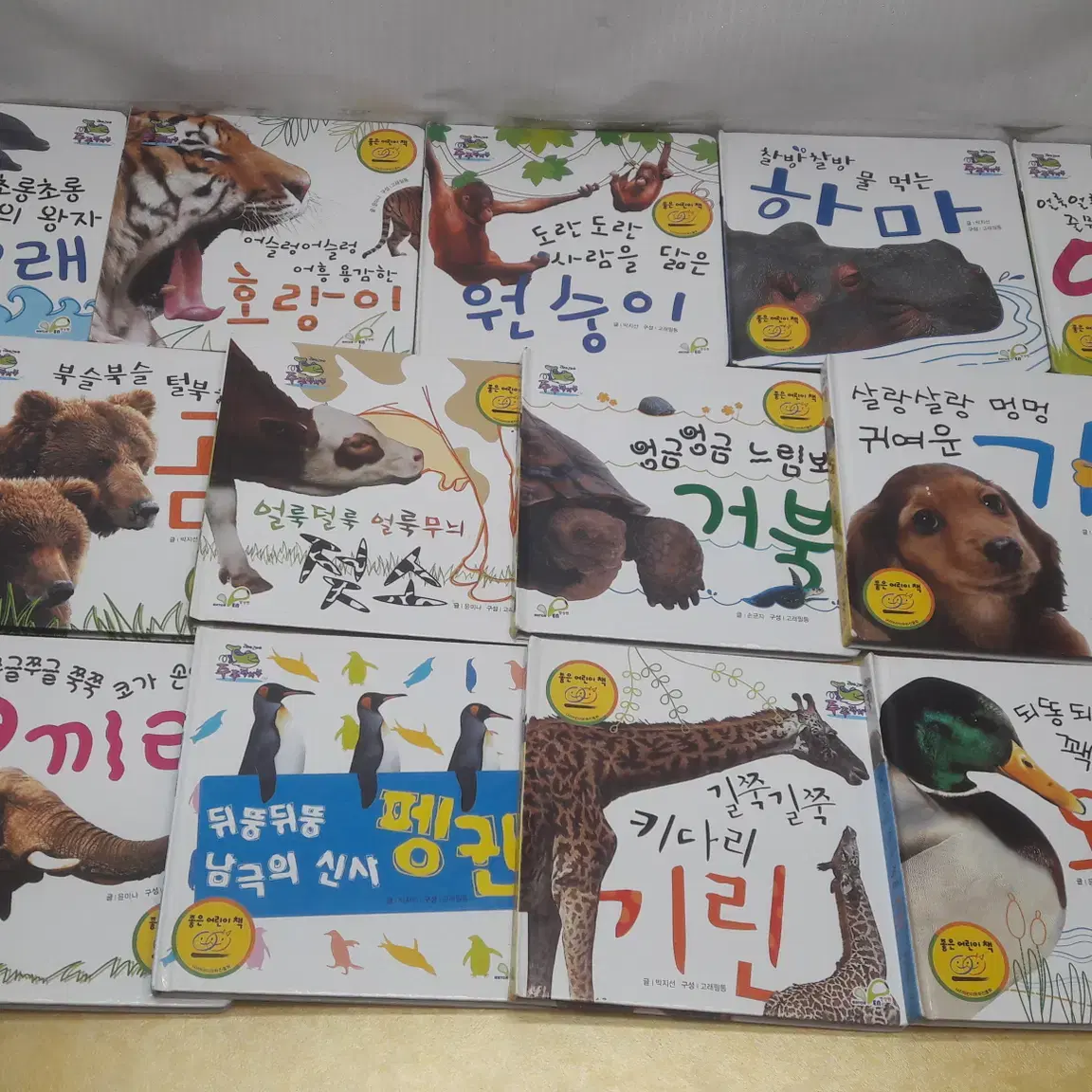 한국삐아제 주주픽처북:zoozoo (합지그림책)