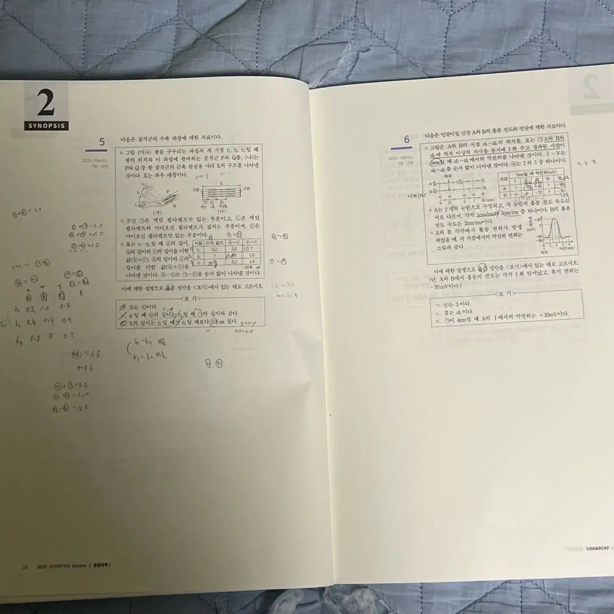 25생명과학 디카프 시놉시스 시즌2 9,10,11회 판매