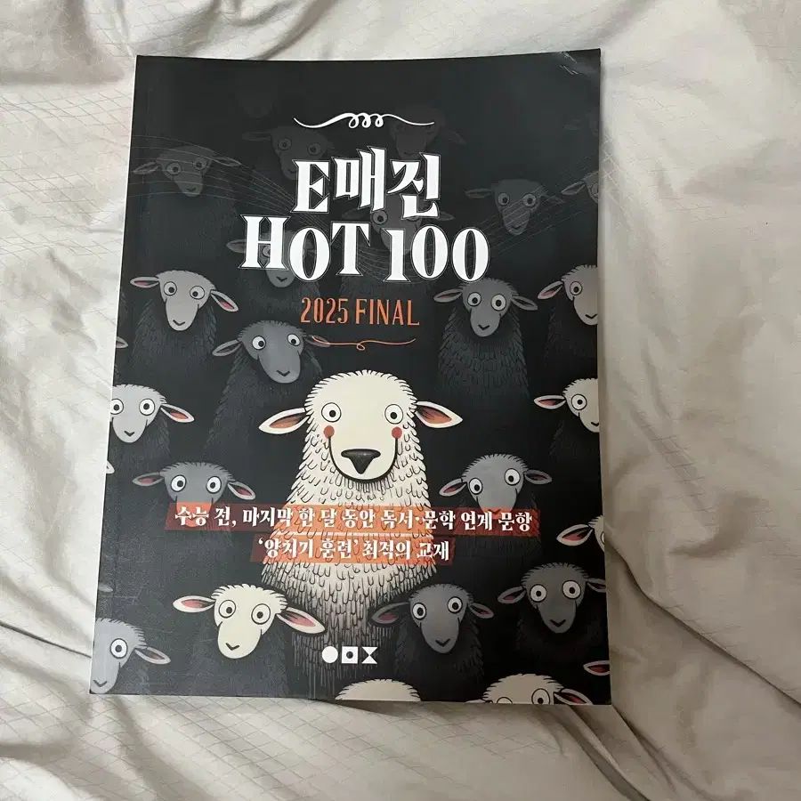 상상 E매진 Hot100 국어n제