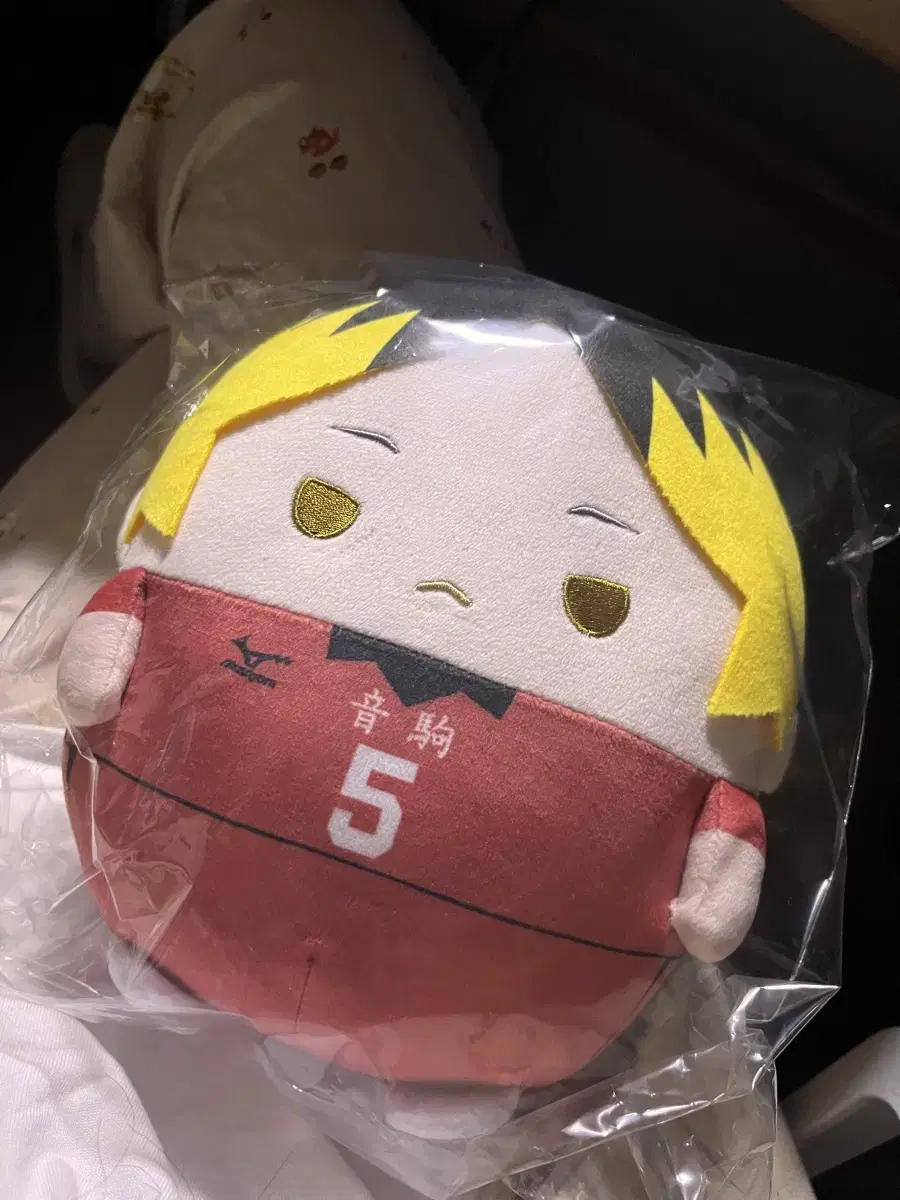 [Doll] haikyuu Kozume Kenma Fuwakororing M Size Unsealed