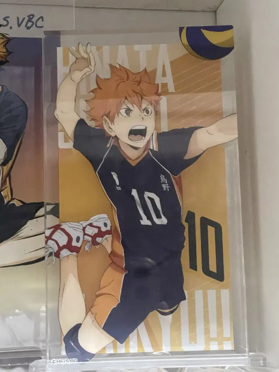 Haikyuu hinata acrylic blocks