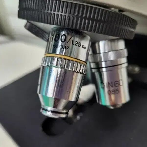 NIKON Labophot-2 Microscope