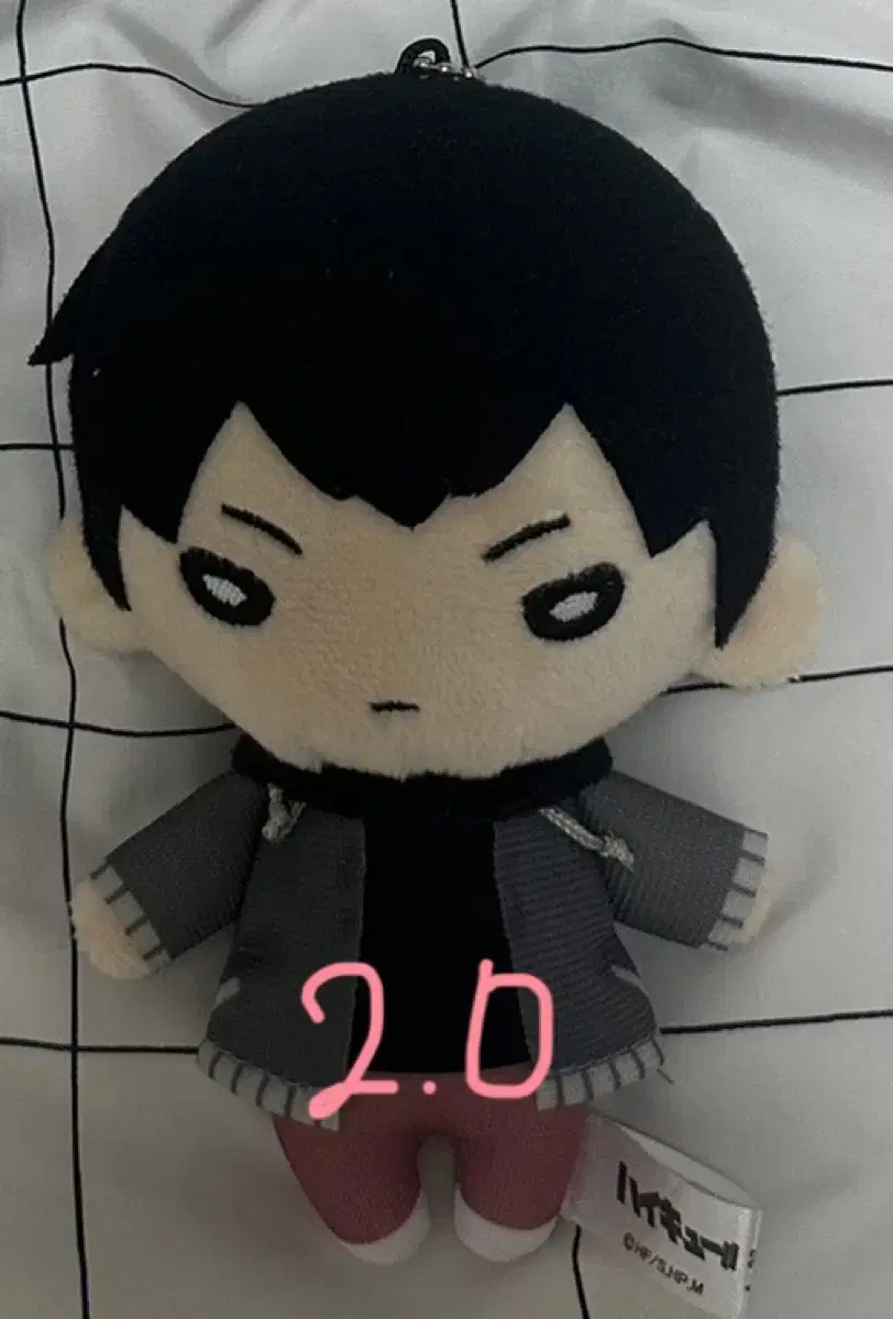 Kageyama Winter Wear Nitotan WTS