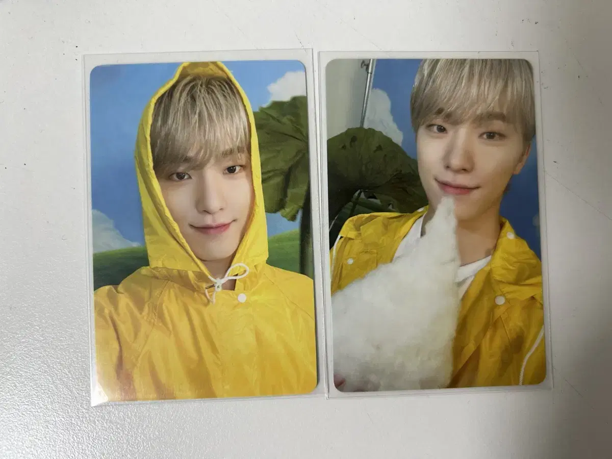 Seventeen dino Carat Vahn photocard bulk wts Heaven, God of Music