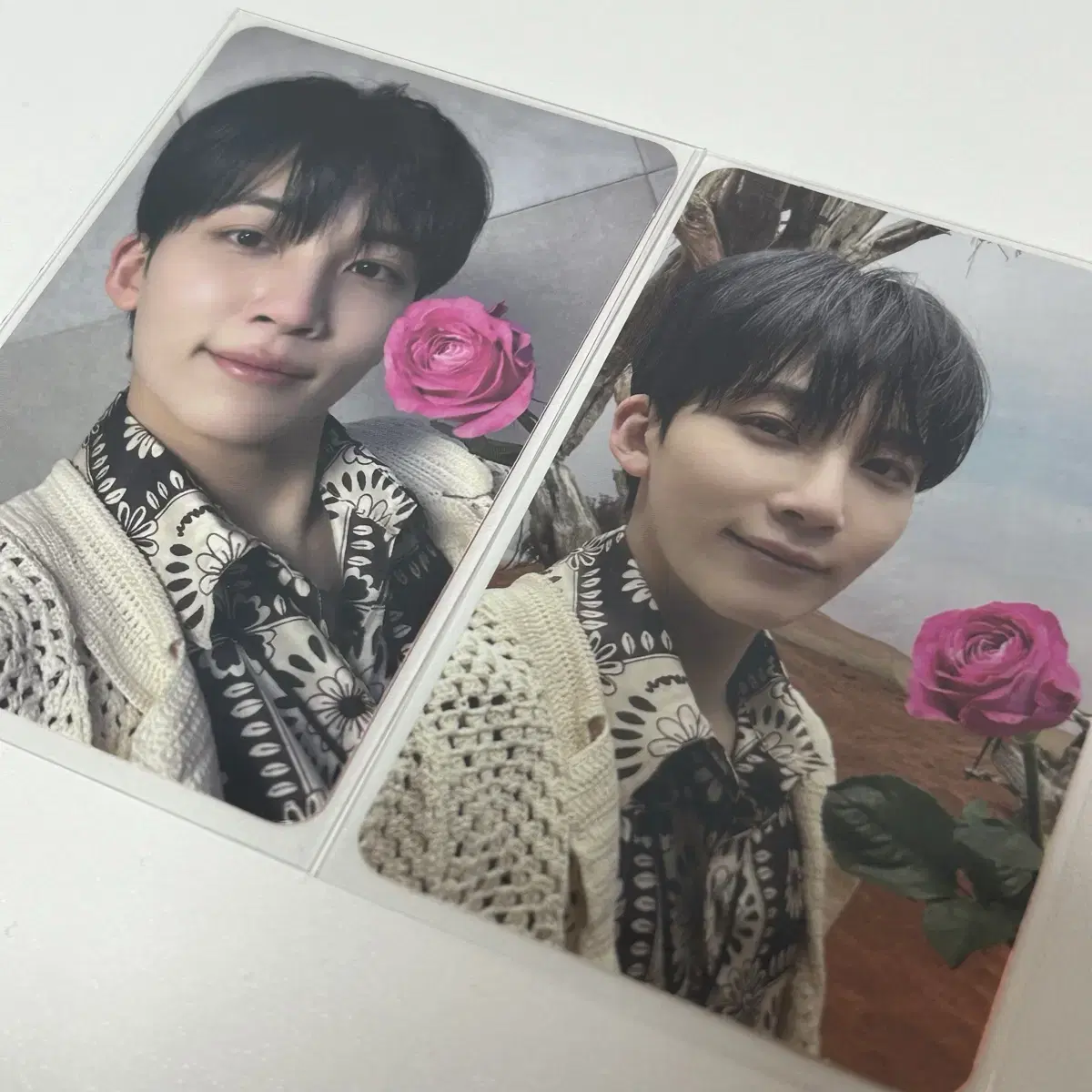 Seventeen jeonghan yoon jeonghan Feathersun Alpo Photo Card bulk sells