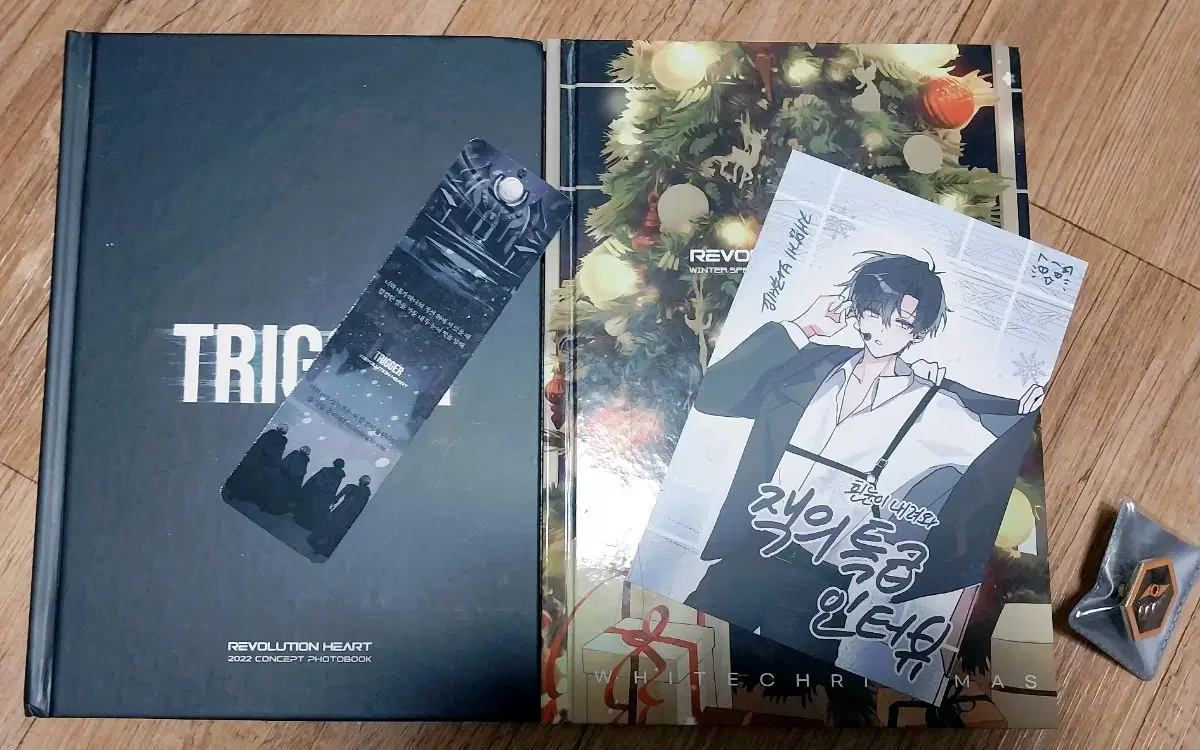 Revolutionary TRIGGER Photobook/White Snow Falls Photobook/Gemini Metal Badge