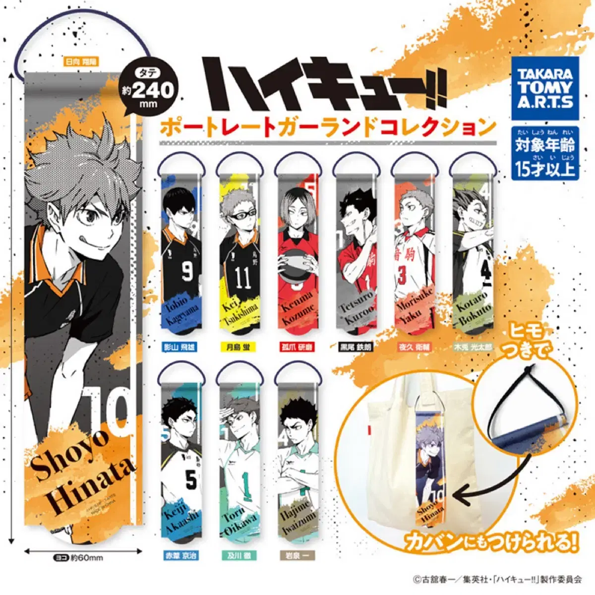 Haikyuu Mini Tapestry Portrait Garland Gacha Hinata