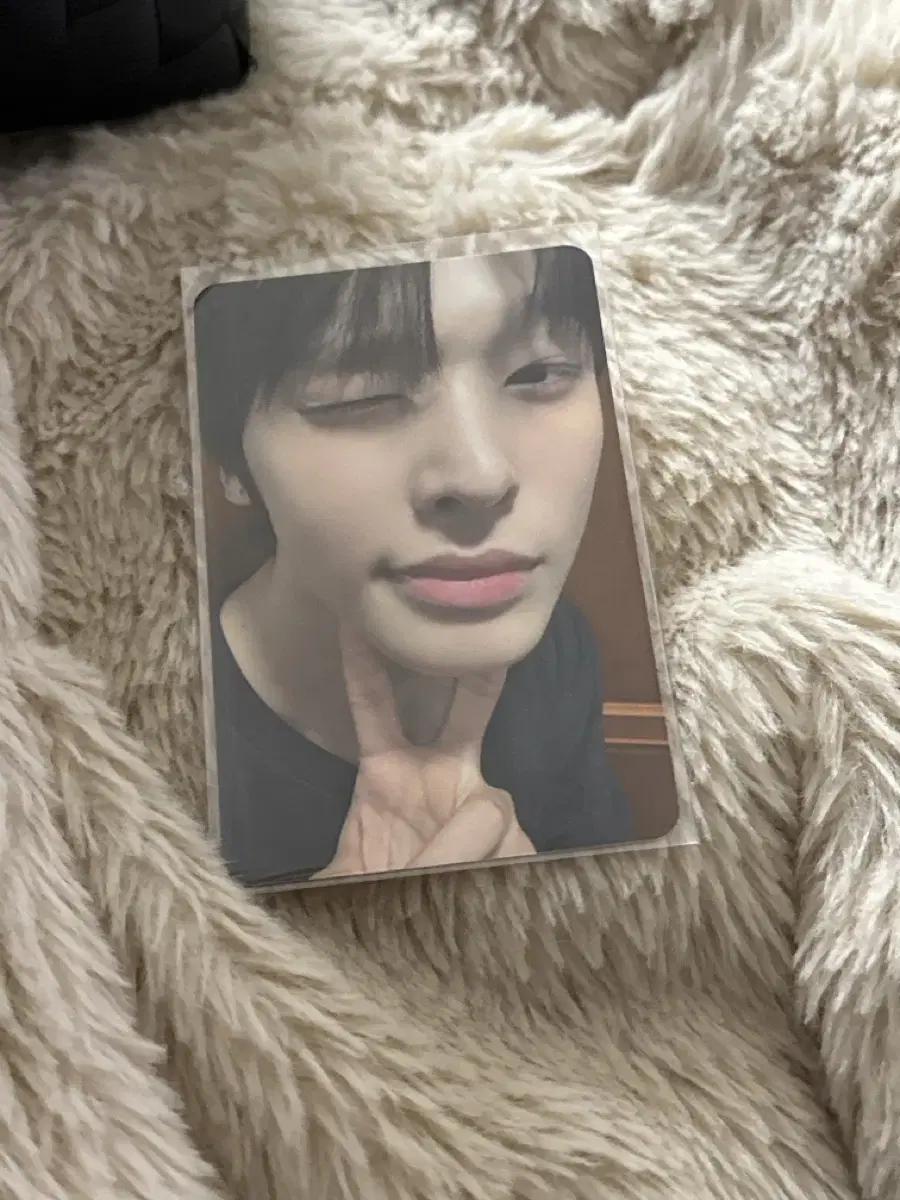 nct wish 0811 songbird apple music riku photocard