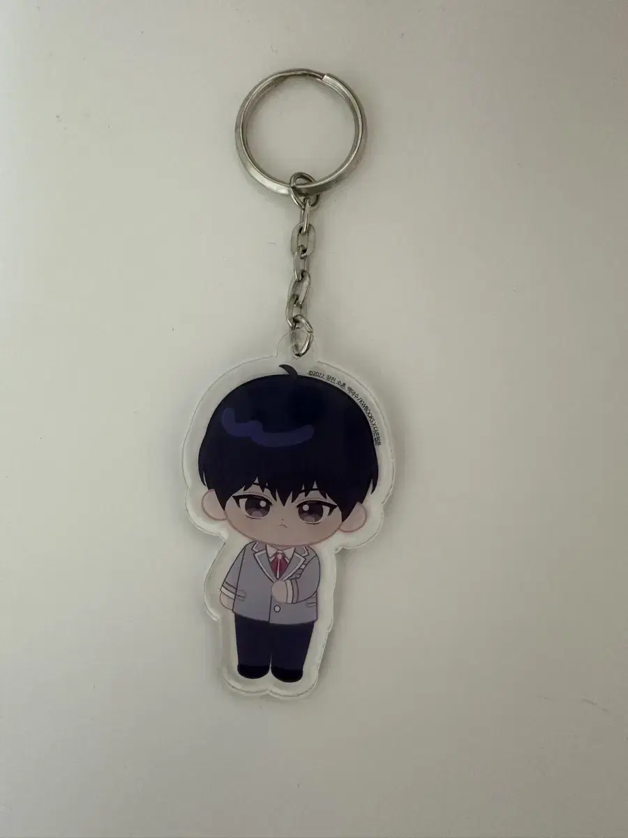 Demot juk) Bae Se Jin formula acrylic keyring wts