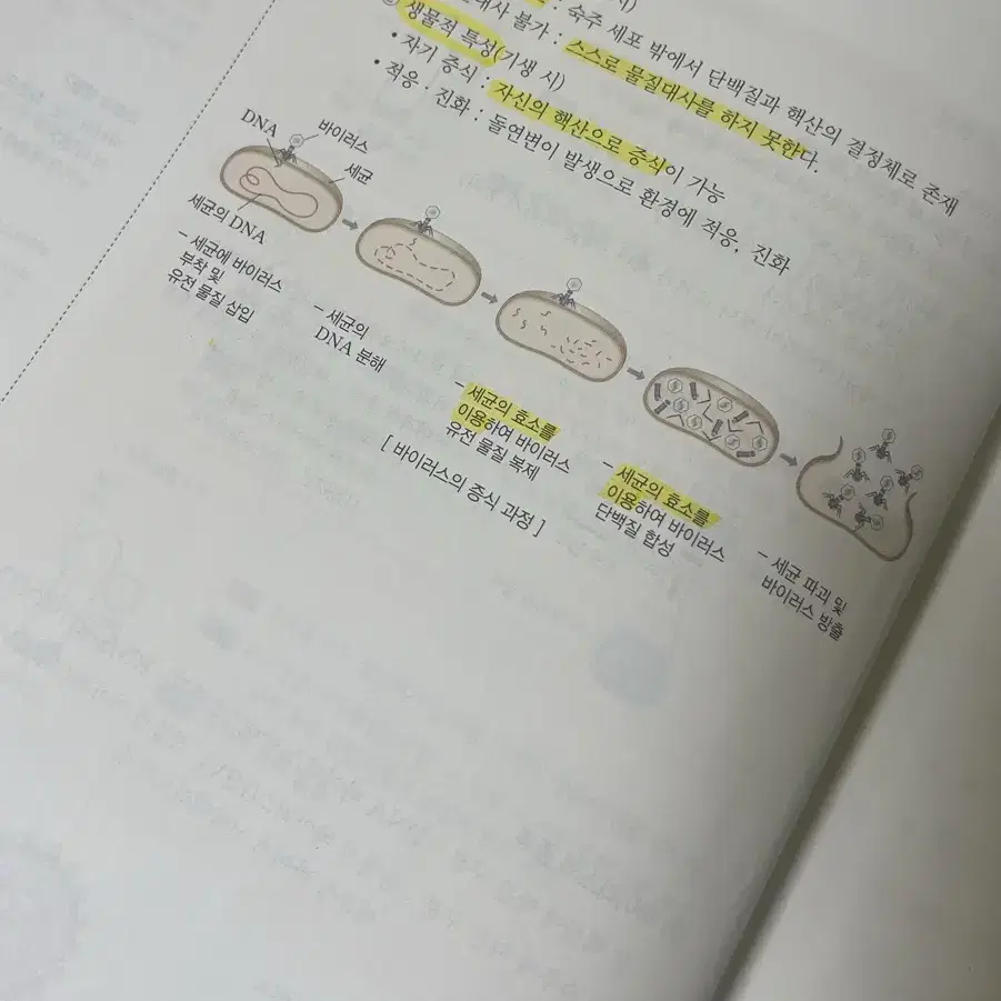 2025 메가스터디 백호쌤 생명과학1 개념완성 본교재