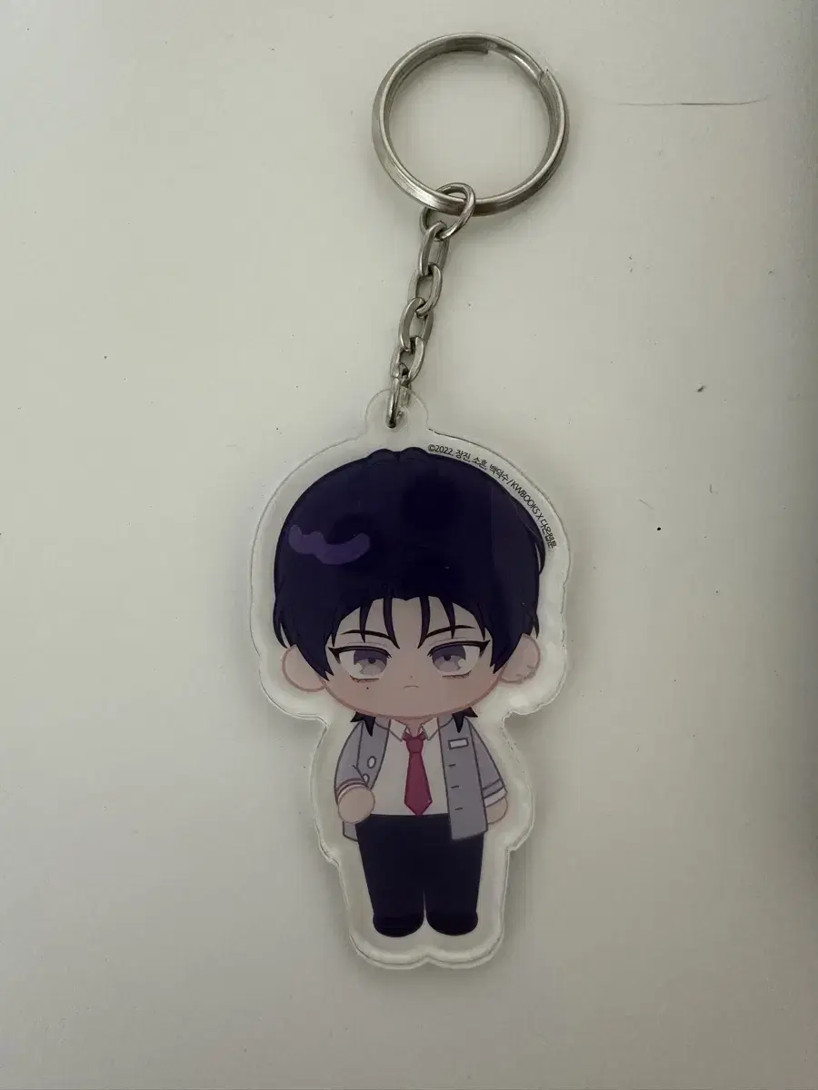 Demot Juk) Kim Rae Bin Official acrylic keyring wts