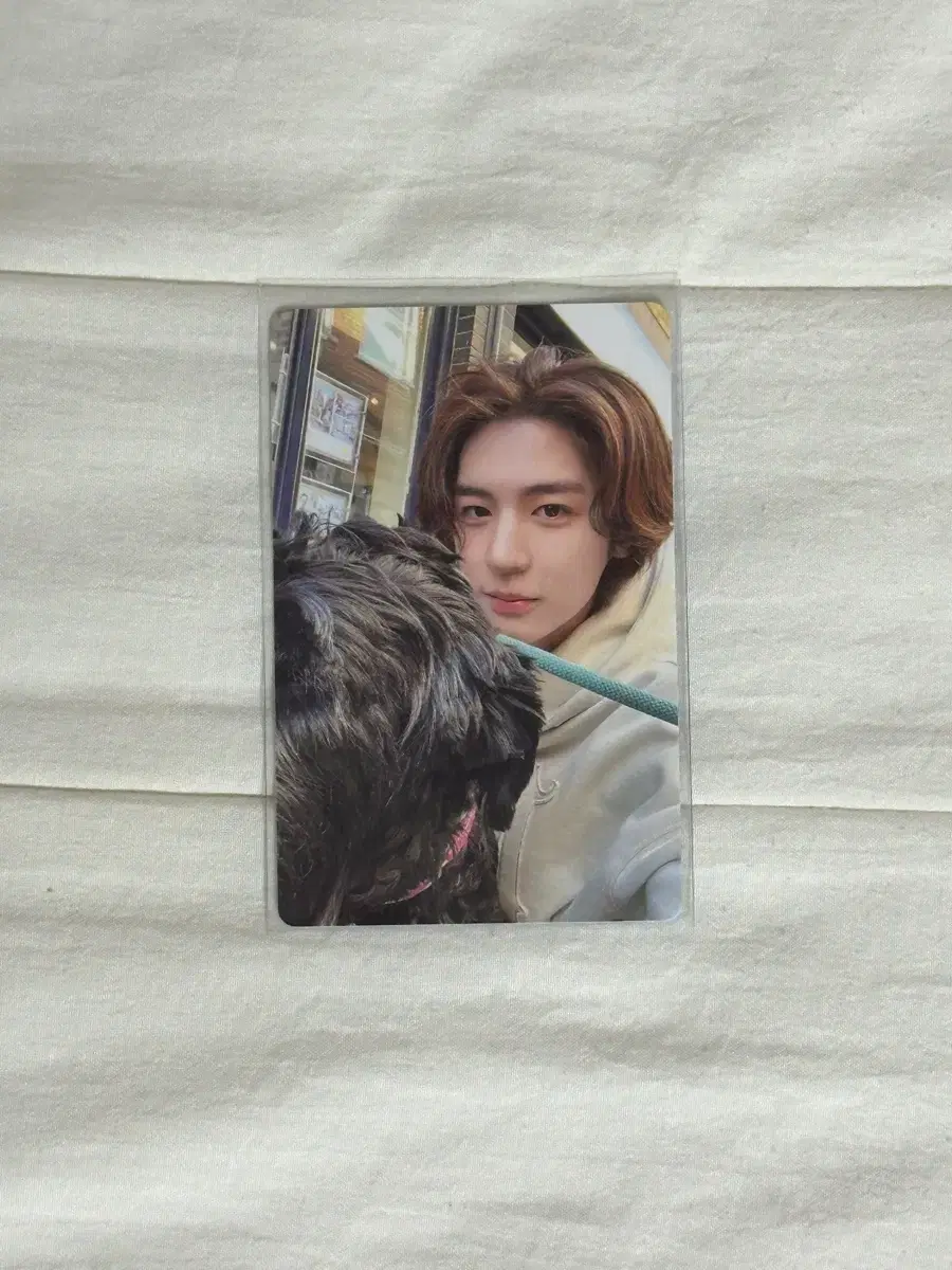 Leehan HOW sells a sticker version of the photocard, pola 