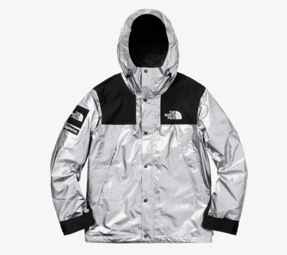 18ss Supreme The North Face Metallic Mountain Parka Silver[XL]