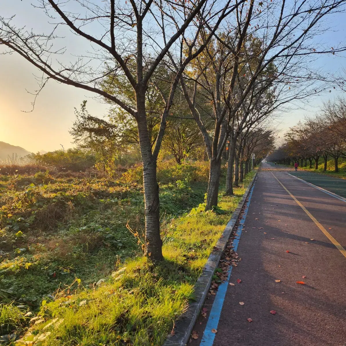 어반글라이드 삽니다.