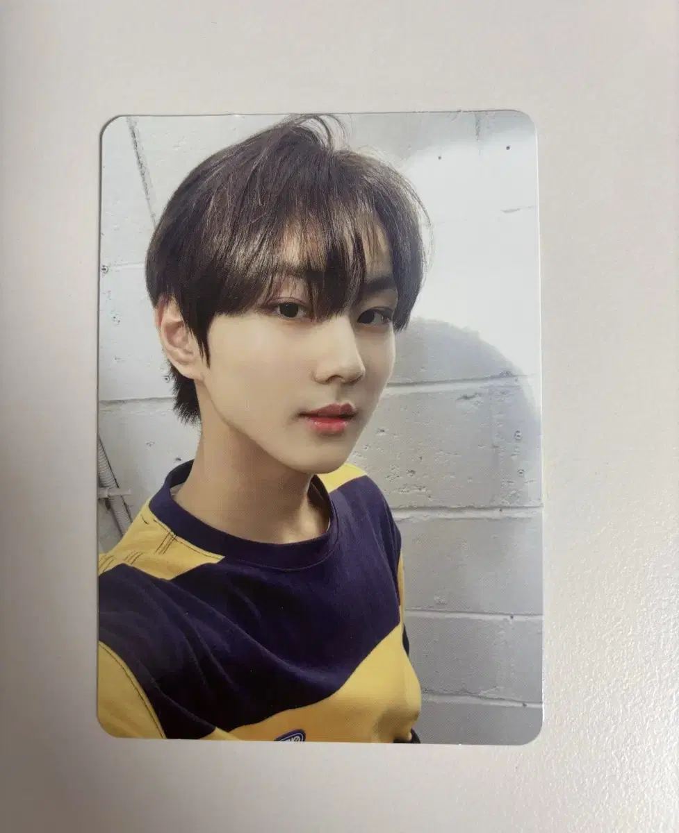 enhypen jungwon photocard (larger than regular size)