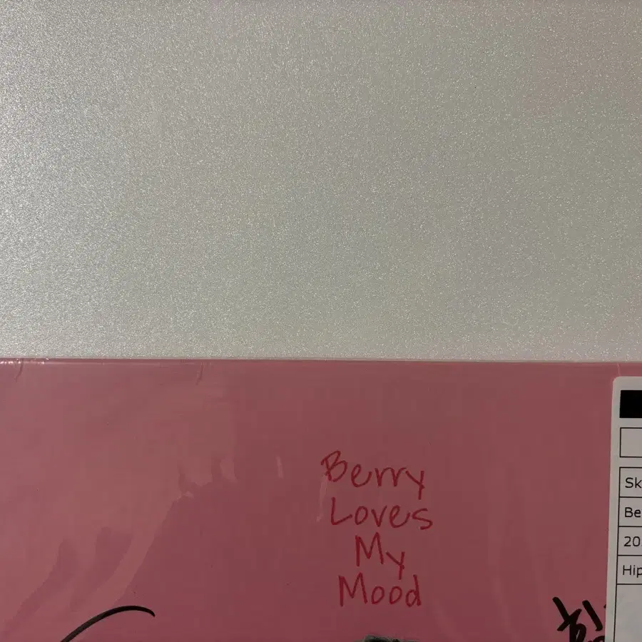 스키니브라운 berry loves my mood lp 싸인반